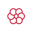 Caesars Foods APK