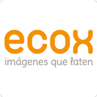 ECOX - Ecografías 5D icône