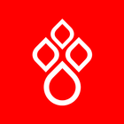 Hiến máu icon