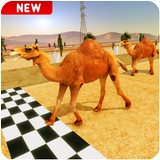 Crazy Camel Racing Fever 3D: Desert Race Simulator