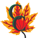 Radio Movil Casa Campestre APK