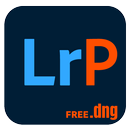 Lightroom Mobile Preset DNG APK