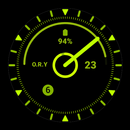 XXIV Watchface APK