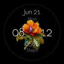 XAY-APK