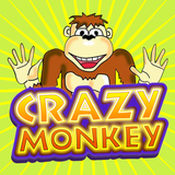 Crazy Monkey Fun