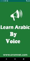 Learn Arabic Amharic By Voice โปสเตอร์