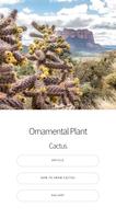 Cactus Guide - Pflanztechnik Plakat