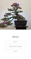 Guide du bonsaï - Technique de Affiche