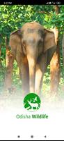 Wildlife Odisha الملصق