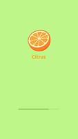 Citrus poster