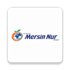 Mersin Nur Turizm icône