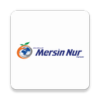 Mersin Nur Turizm ícone