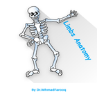 Orthopedic Anatomy icône