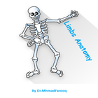 ikon Orthopedic Anatomy