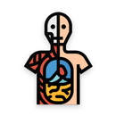 Learn Muscles Anatomy APK