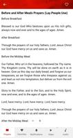 Orthodox Prayers and Services screenshot 2