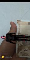 Robot 2:3D (Augmented Reality) Ekran Görüntüsü 2