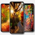 Autumn Wallpaper
