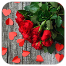 Flowers HD Wallpaper APK