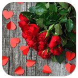 Flowers HD Wallpaper