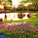 Garden HD Wallpaper APK