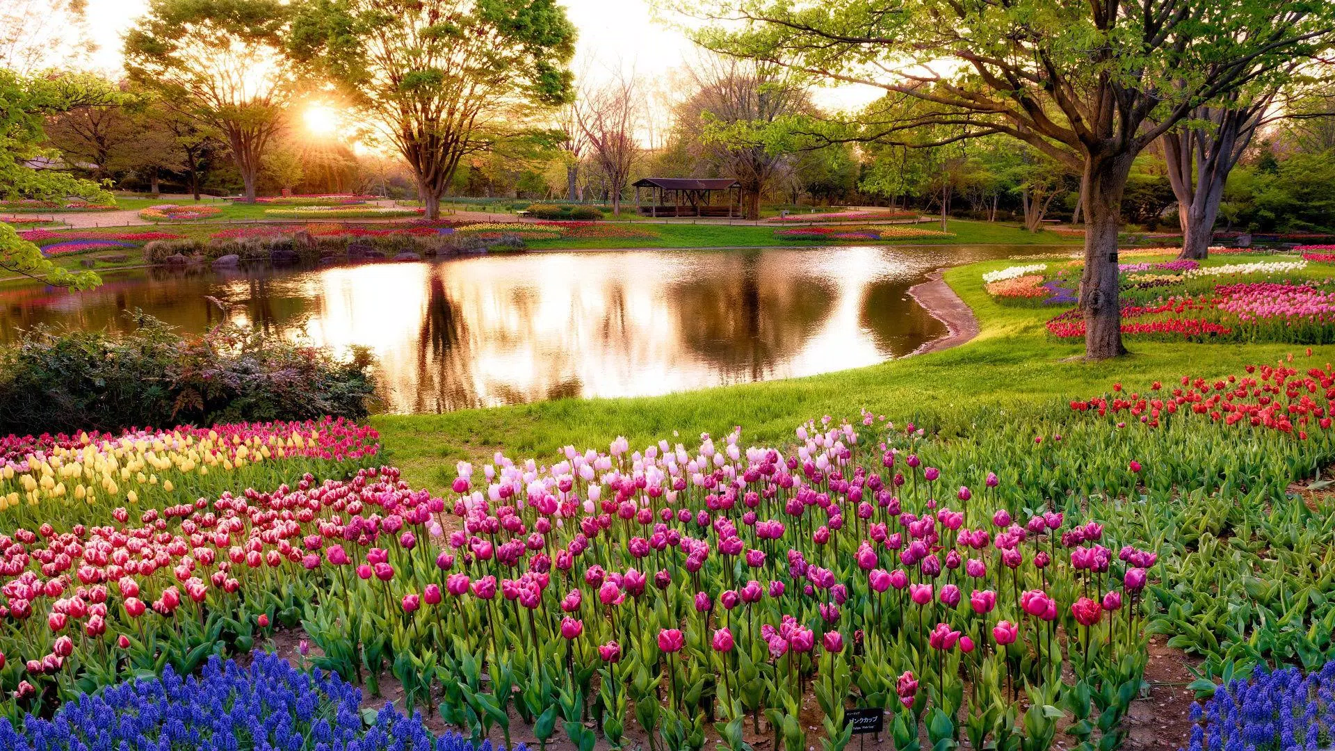 Garden HD APK for Android Download Garden HD APK for Android Download