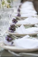 Table Setting Ideas screenshot 1