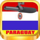 Emisoras Paraguay APK