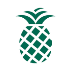 PineApp ikona