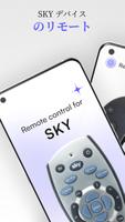 Sky、SkyQ、Sky+ HD 用リモート ポスター