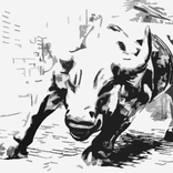 Lox Icon Pack (Light version)