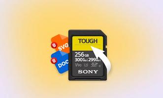 SD Memory Card Formatter capture d'écran 1