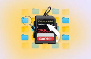 SD Memory Card Formatter capture d'écran 2