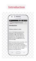 Java Programming app 海報