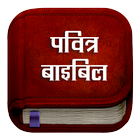 Hindi Bible アイコン