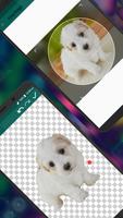 برنامه‌نما Malayalam Stickers - WASticker عکس از صفحه