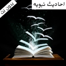 APK احاديث نبويه