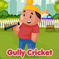 Gully Cricket 2024