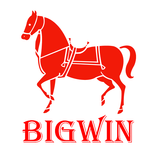 Live4D BigWin