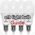 a19 light bulb guide