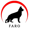 Faro Rastreamento