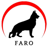 Faro Rastreamento icône