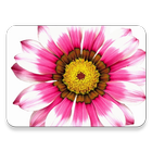 Flower wallpaper icon