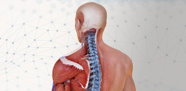 Как скачать последнюю версию Complete Anatomy APK 11.3.0 для Android 2025 image