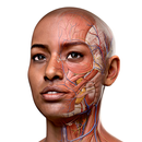 Complete Anatomy 2024 APK