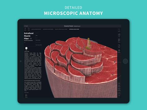 Complete Anatomy ‘21 - 3D Human Body Atlas 截图 11