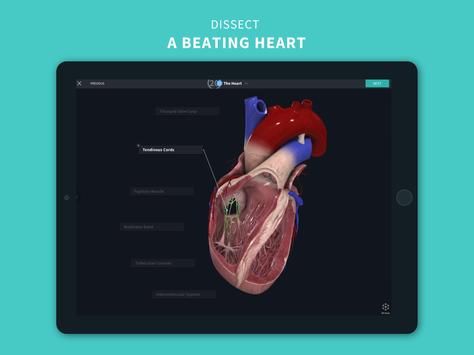 Complete Anatomy ‘21 - 3D Human Body Atlas 截图 13