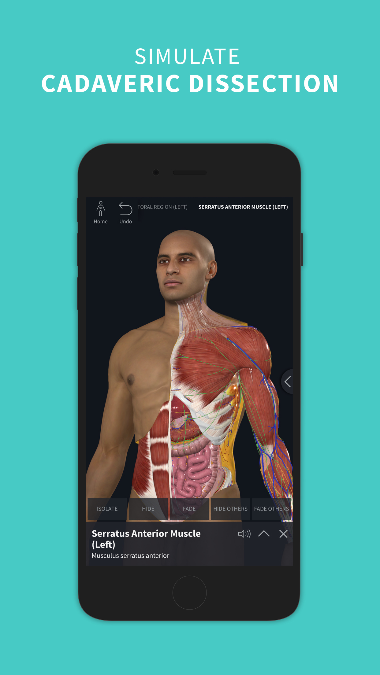 Complete Anatomy 2023 APK 9.7.0 for Android Download Complete Anatomy