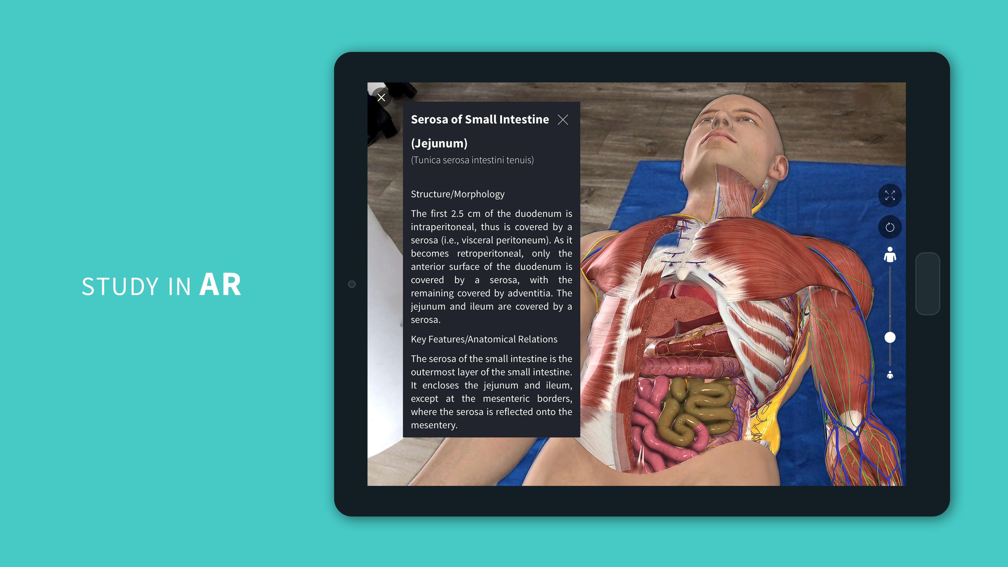 Complete Anatomy 2022 for Android - APK Download