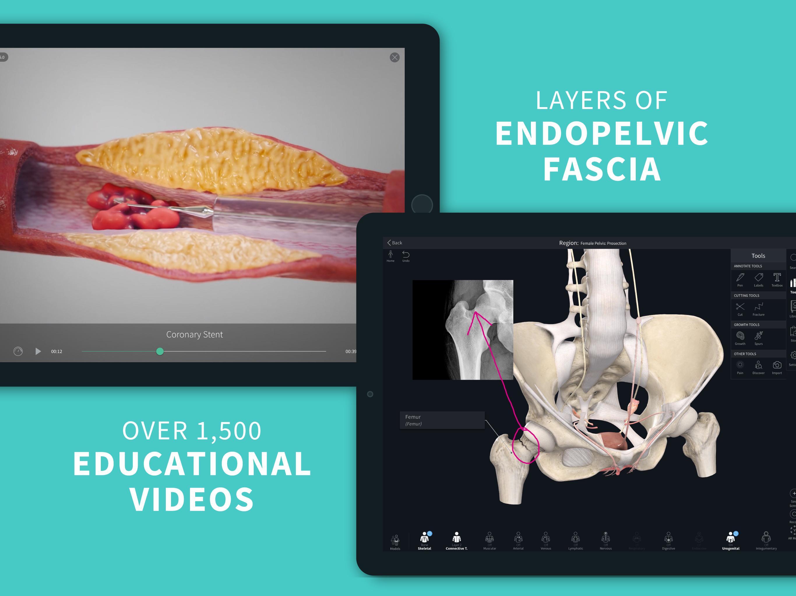 Complete Anatomy 2022 for Android - APK Download